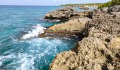 Tour Wandern Saint-François - Guadeloupe - Pointe des Châteaux (2024) - Photo 2