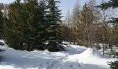 Excursión Raquetas de nieve Puy-Saint-Vincent - la tête d'Oréac - Photo 6