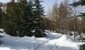 Randonnée Raquettes à neige Puy-Saint-Vincent - la tête d'Oréac - Photo 6