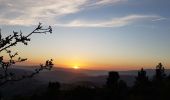 Percorso A piedi Açoreira - Rota das Amendoeiras - Photo 1