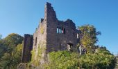 Tocht Stappen Schramberg - Schramberg - Châteaux de Falkenstein et de Hohenschramberg - Photo 7