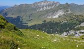 Tour Wandern Samoëns - SAMOENS: LES ALLAMANDS - BOSTAN (CHALETS - REFUGE - COL  - TETE) - GOLESE - Photo 9