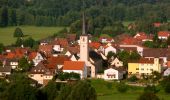 Tocht Te voet Bad Bocklet - Rhön Rundweg 6 - Photo 2