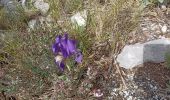 Trail Walking Cotignac - sommet du Bessillon - Photo 6