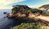 Trail Walking Bandol - Boucle Bandol - Port d'Alon - Dune de sable - La Madrague - Port d'Alon - Bandol - Photo 12