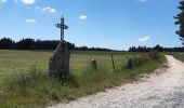 Trail Walking Peyre en Aubrac - le circuit des croix en partant de Aumont Aubrac  - Photo 1