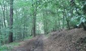 Trail Walking Esneux - pré de tilff . bois du manant.  bois des chevreuils  . pré  de tilff - Photo 2