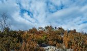 Excursión Senderismo Die - la Belle Justine ( rando Asptt)  - Photo 2