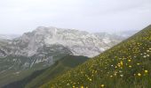 Trail Walking Plancherine - chalet de Drison à nant fourchu  - Photo 6