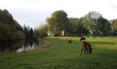 Tour Zu Fuß De Ronde Venen - Waardassackerroute - Photo 7