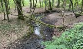 Randonnée Marche Frameries - SARS les Bruyère 17 km - Photo 6