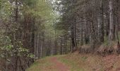 Percorso Marcia Villeneuve-de-Berg - la forêt des sens Villeneuve de Berg  - Photo 17