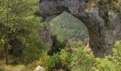 Tocht Stappen Massegros Causses Gorges - Baousse del fiel - Photo 7