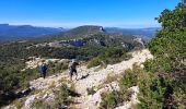 Randonnée Marche Pourrières - Mont Aurélien  - Photo 9