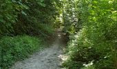 Trail Walking Vesly - vesly Noyers le chêne  - Photo 11