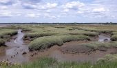 Tour Wandern Audenge - Grande boucle du domaine de Certes-Graveyron - Photo 11