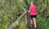 Trail Walking Saint-Louis - Le tapage  piton cabris retour via bras patate - Photo 3