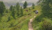 Trail Walking Orcières - Prapic Le Saut de Laire - Photo 4
