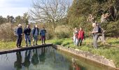 Trail Walking Cotignac - sommet du Bessillon - Photo 10
