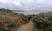 Tour Wandern Lannion - Lannion plage de Leguen - Photo 2