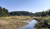 Tour Wandern Bütgenbach - butchenbach tour du lac - Photo 14