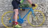 Trail Electric bike Vert-le-Grand - bondoufle -Arthenay - Photo 1