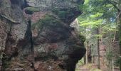 Excursión Senderismo Allarmont - 2019-06-08 Marche Allarmont et ses rochers - Photo 7