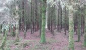 Tour Nordic Walking Herbeumont - herbeumont - Photo 5
