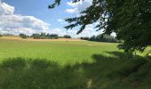 Tocht Paardrijden Fougerolles-Saint-Valbert - Vers fontaine des larrons 9kms - Photo 2