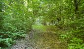 Trail Walking Fleury - en Forêt de Retz_92_05_2022_Rond d'Orléans_Chapeau des Cordeliers_la Laie des étangs de Longpont - Photo 15