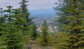 Randonnée Marche Villeneuve-de-Berg - sentier de la forêt des sens - Photo 4