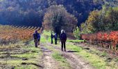 Tour Wandern Brue-Auriac - Trace_Brue-Auriac - Photo 18