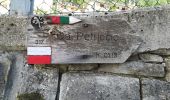Tocht Te voet Premilcuore - Il Monte Tiravento - Photo 2