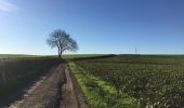 Trail Walking Pont-à-Celles - En passant de la Meuse à l'Escaut - Photo 1