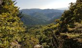 Trail Walking Saint-Maurice-sur-Moselle - Rouge Gazon - Lacs des Perches et du Neuweiher - Col des Charbonniers  - Photo 7