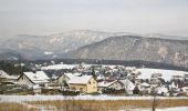 Tour Zu Fuß Gemeinde Enzenreith - Sonnleitenweg (Enzenreith) - Photo 6