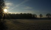 Tour Zu Fuß Bronckhorst - Veldhoekroute - Photo 3