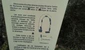 Trail Walking Viols-le-Fort - Viols le Fort chemin des tombes aven Vidal - Photo 14