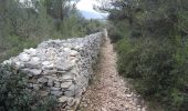 Trail Walking Cabrières-d'Avignon - PF-Cabrières-d'Avignon - Le mur de la Peste - Photo 3