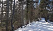 Trail Snowshoes Château-Bernard - Les Crêtes de La Ferrière - Photo 1