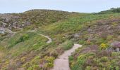 Trail Walking Erquy - LE CAP D'ERQUY DEPUIS LE CAMPING LA VALLEE - Photo 20