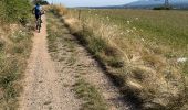 Excursión Bici de montaña Francheville - GTML - Photo 1