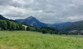 Tocht Stappen Autrans-Méaudre en Vercors - t4m j2 - Photo 6