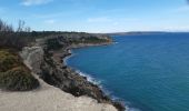 Trail Walking Leucate - la franqui - phare du cap de leucate / retour par la falaise et la plage  - Photo 17