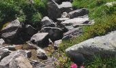 Trail Walking Aussois - col du Barbier, pont de seteria, retour plan d'Amont - Photo 9