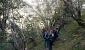 Trail Walking Barèges - BAREGES le plateau des lumieres G3 fait  