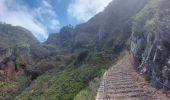 Excursión Senderismo Prazeres - Paul do Mar - Levada nova - Photo 8