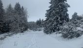 Excursión Senderismo Murol - Le tour de Beaune le froid  - Photo 5