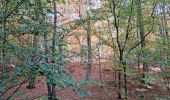Trail Walking Viroflay - T-Chaville-Meudon - Photo 16