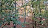 Randonnée Marche Viroflay - T-Chaville-Meudon - Photo 16